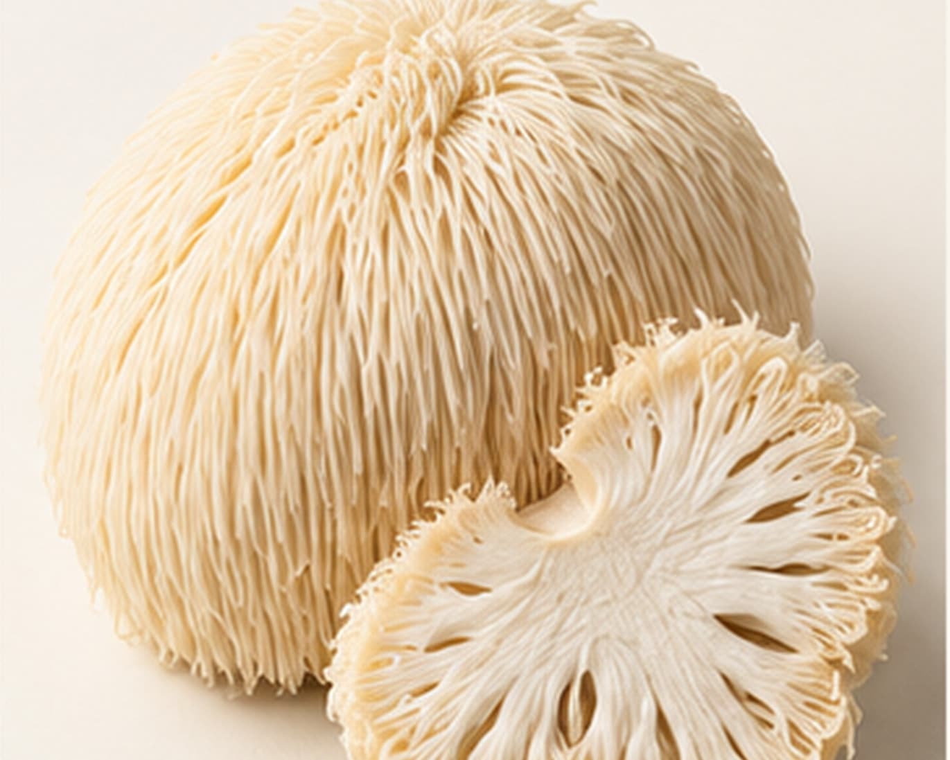 Lion's Mane Extract